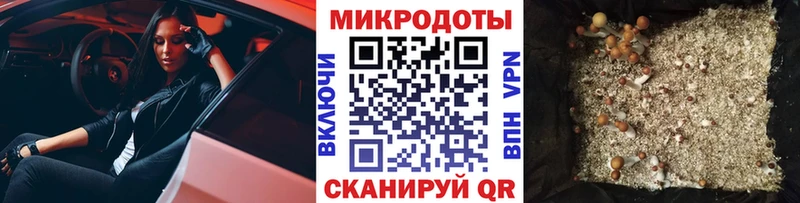 Псилоцибиновые грибы мицелий Сураж